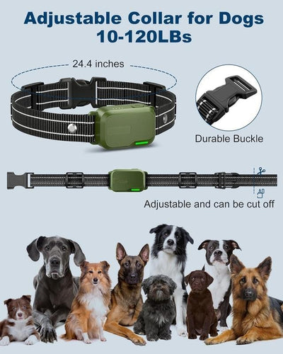 Dog Training Collar